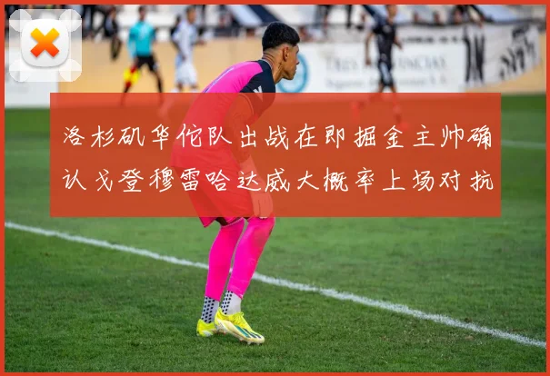 洛杉矶华佗队出战在即掘金主帅确认戈登穆雷哈达威大概率上场对抗湖人