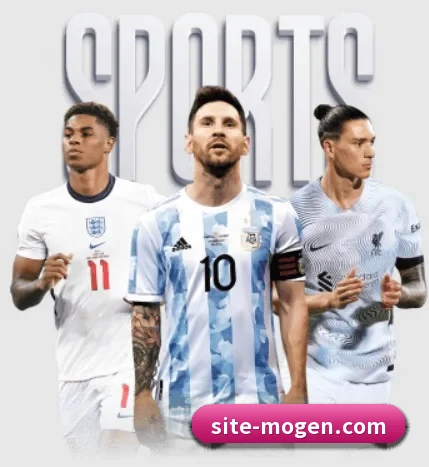 五大服务分区,信息按项目分类 | MorganSports