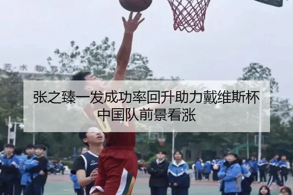张之臻一发成功率回升助力戴维斯杯 中国队前景看涨 - MorganSports